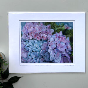 Hydrangea flower Laura Brady artist fine art